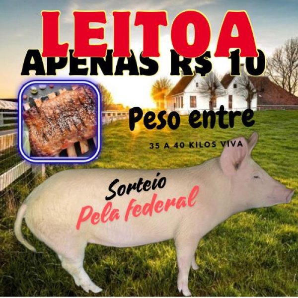 1.500,00 com apenas 0,03 centavos